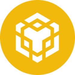 BNB coin