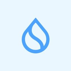 SUI coin